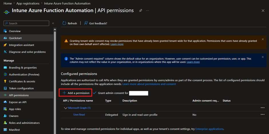 Registered Application Permissions
