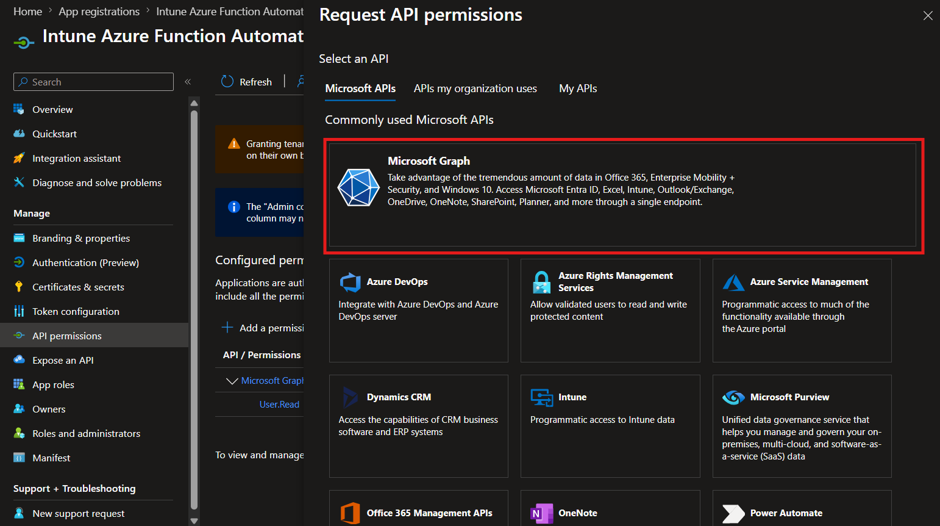 Registered Application Graph Permissions